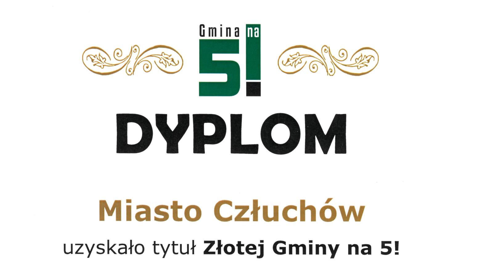 dyplom