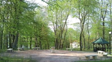 Park Lasek Luizy