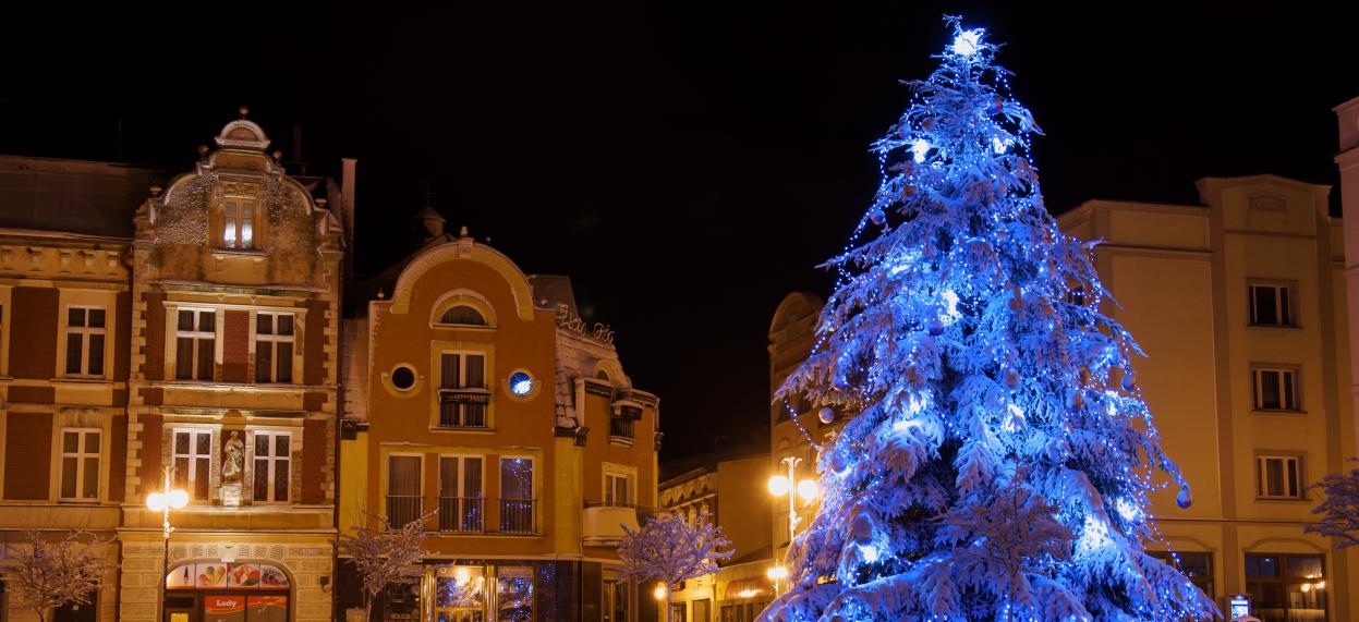 rynek z choinka w śniegu