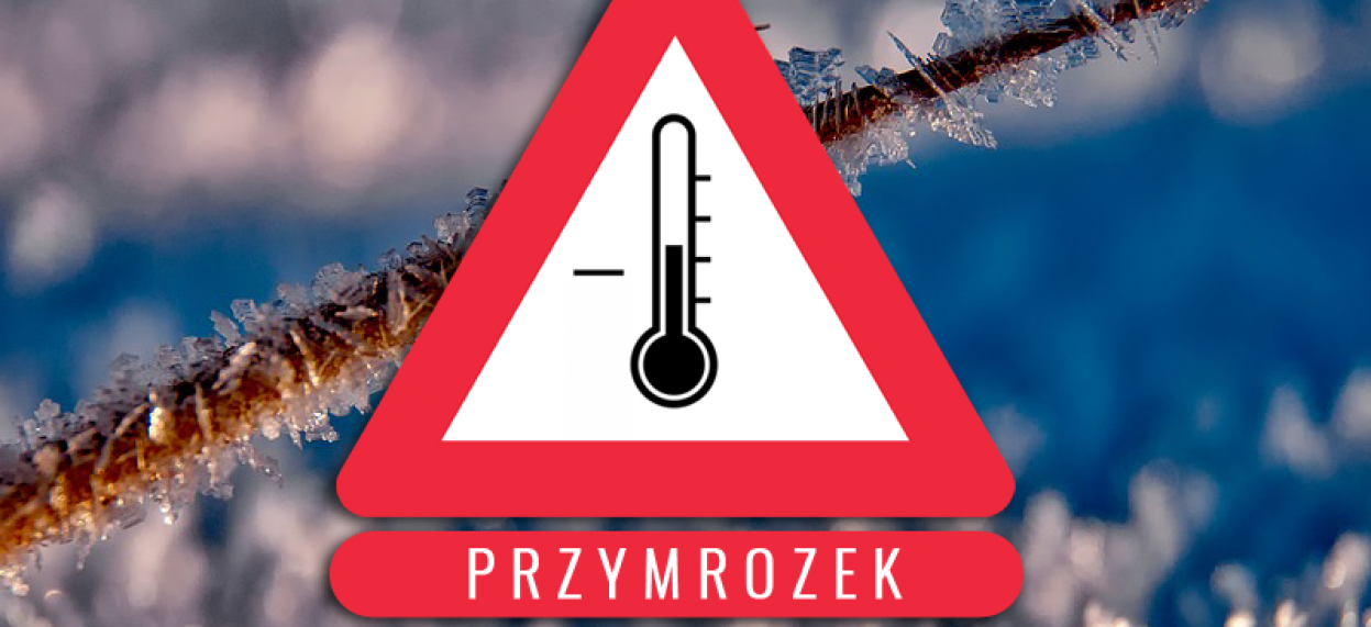 logo - przymrozki