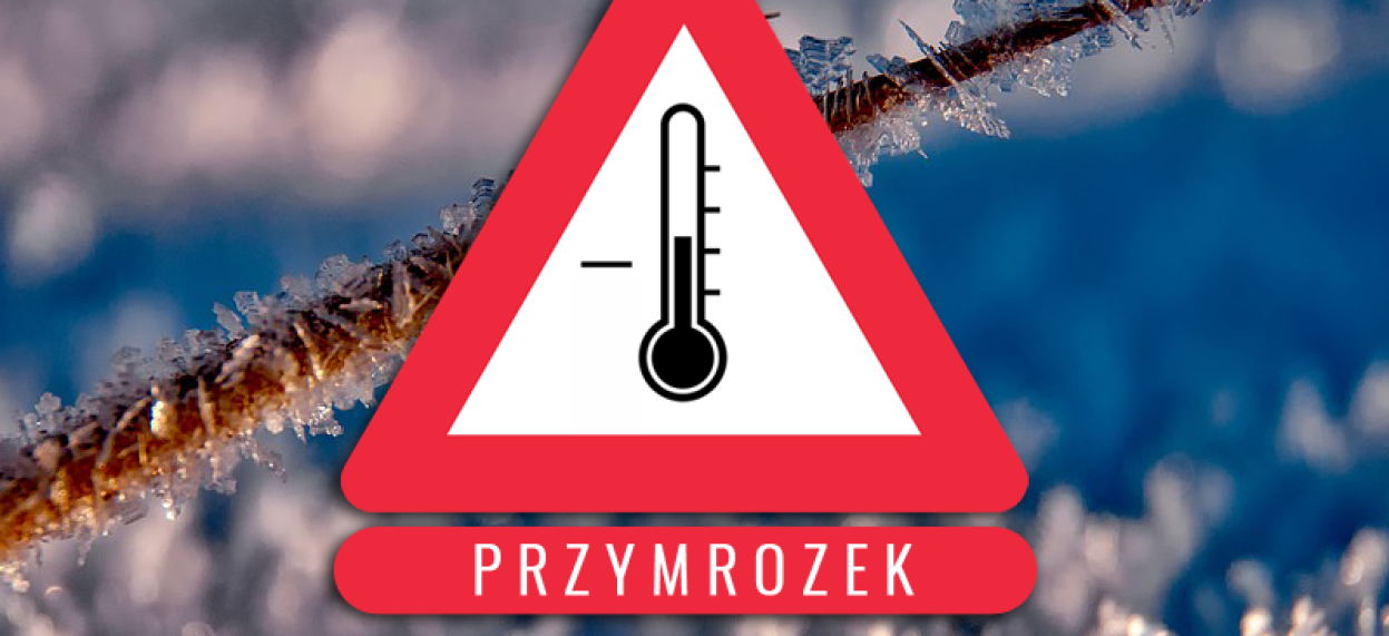 logo-przymrozek