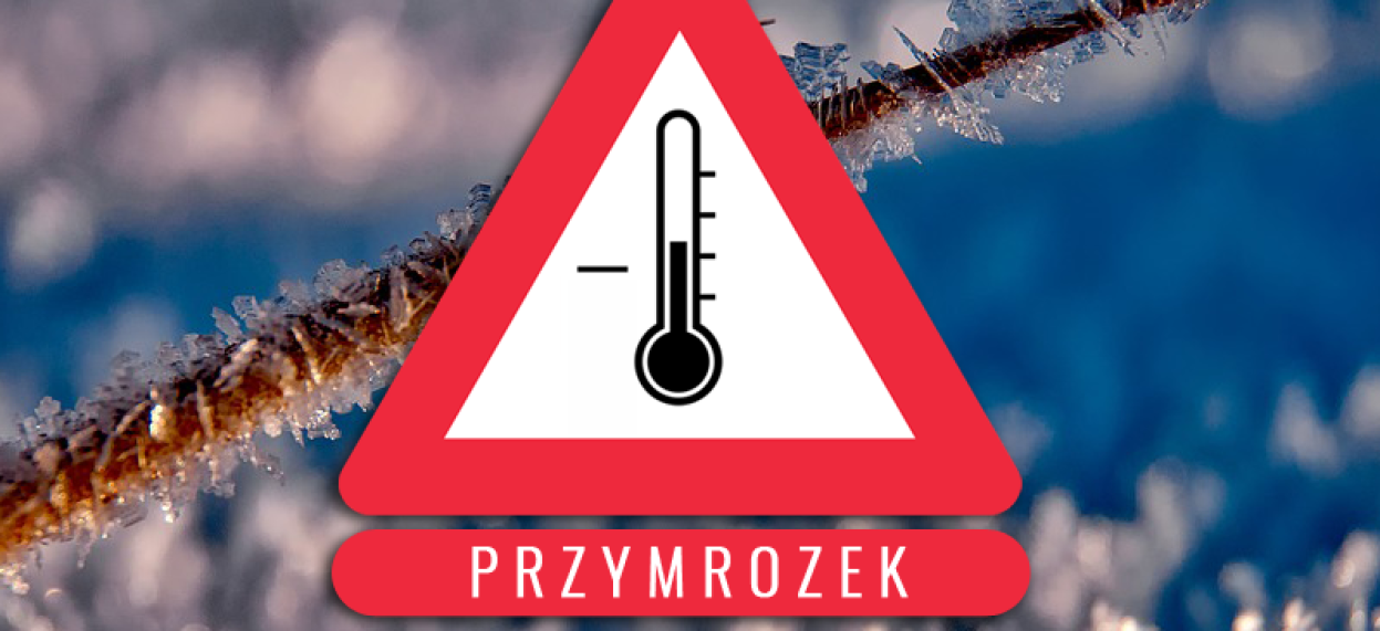 przymrozki - logo