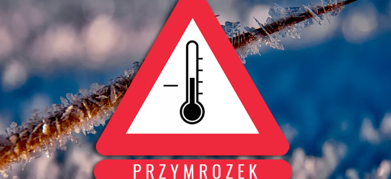 Przymrozek-logo