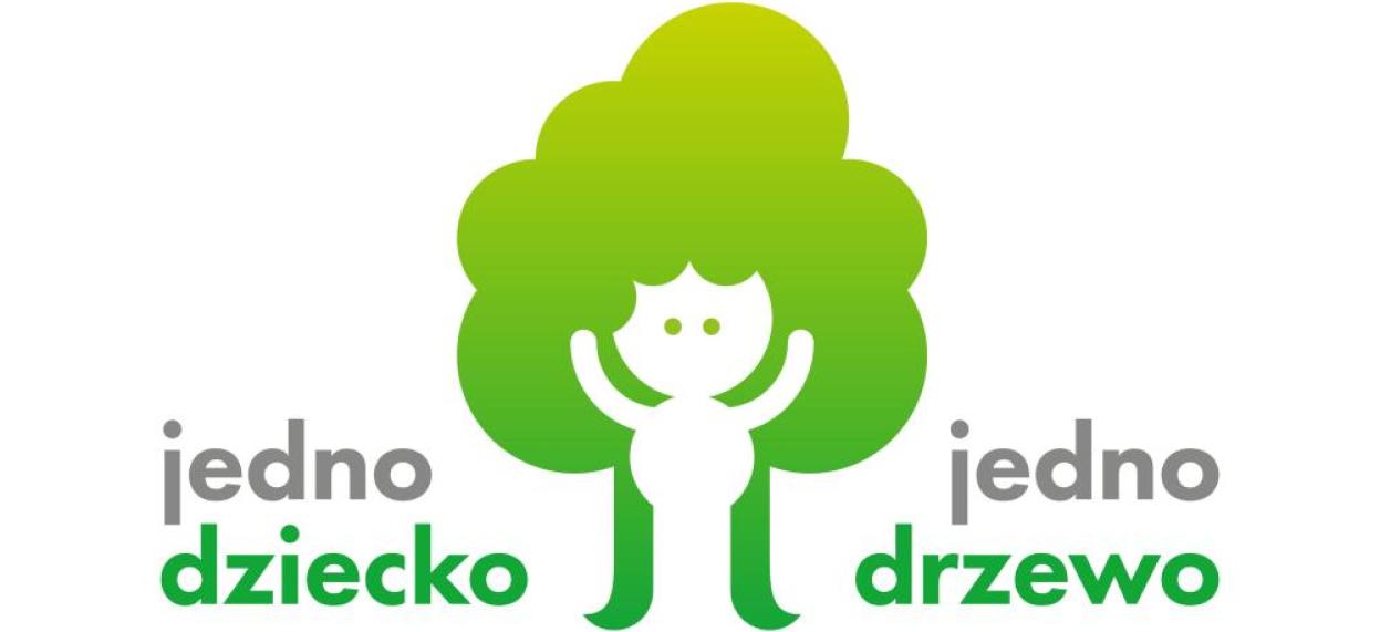 grafika