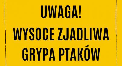 Uwaga! Grypa ptaków