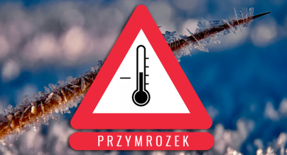 logo - przymrozki