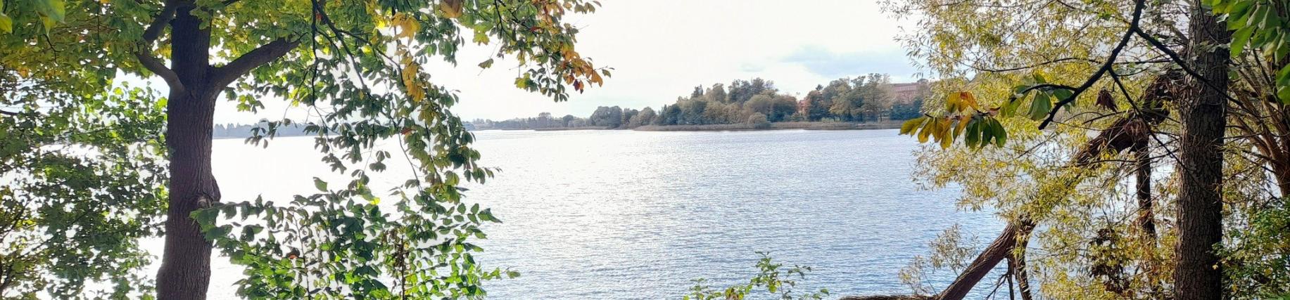 Jezioro Urzędowe jesienią
