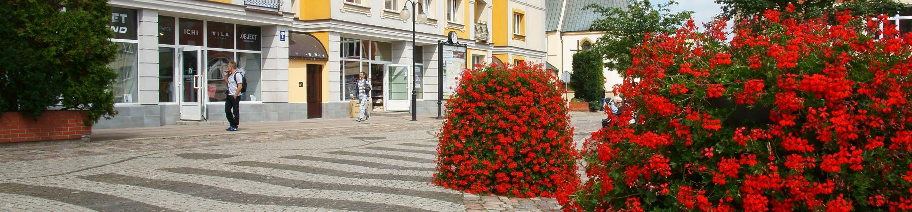 rynek