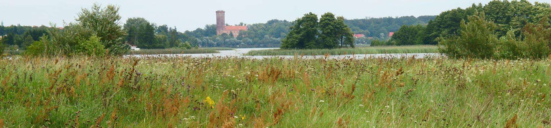 zamek 