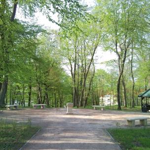 Park Lasek Luizy