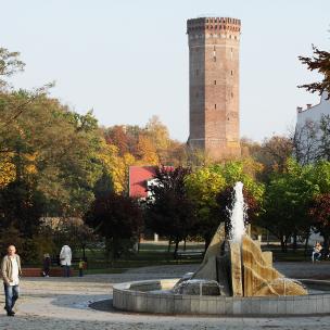 Rynek