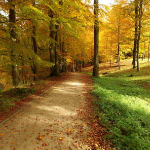 Park jesienią