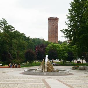 Rynek