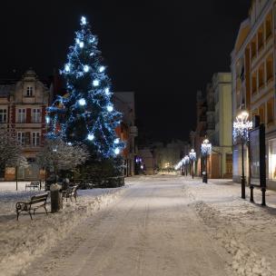 rynek z choinką