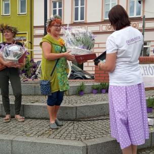 XI LAWENDOWY JARMARK ŚWIĘTEGO JAKUBA