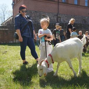 MAJOWY PIKNIK RODZINNY W CZŁUCHOWIE 2026